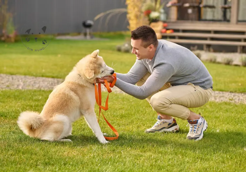 Mindful Hundetræning - Hurtigere Læring med Nærvær