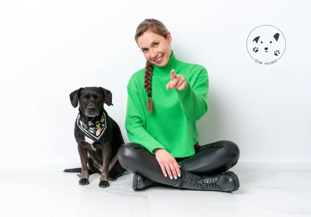 Positiv forstærkning hund