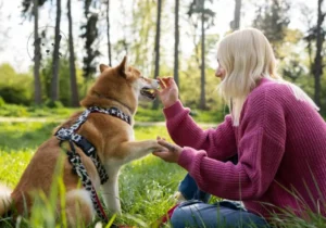 Socialisering af hundehvalp