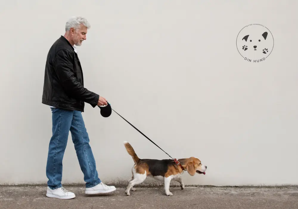 Min hund vil ikke gå i snor – Sådan løser du det