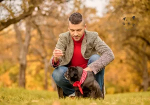 Min hund bliver stresset på gåture – Hvad er løsningen
